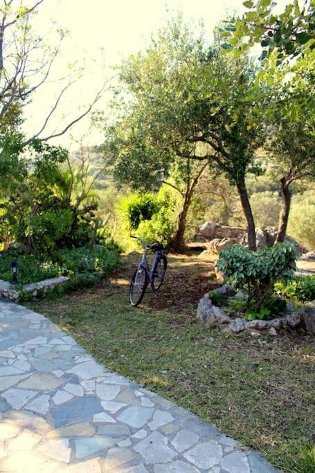 Fragosiko - Rustic Retreat In Kefalonia Argostoli (Kefalonia) Exterior foto